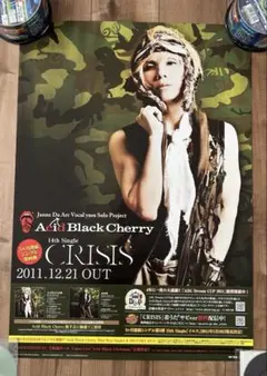 2025年最新】acid black cherry ポスターの人気アイテム - メルカリ