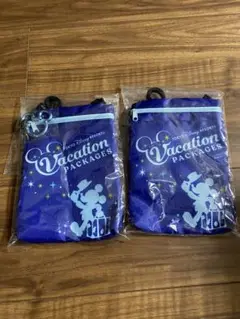 東京ディズニーリゾート バッグ2個セット　未使用品