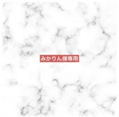 【専用】みかりん様専用　ハンカチ＆ブーケ　相談用