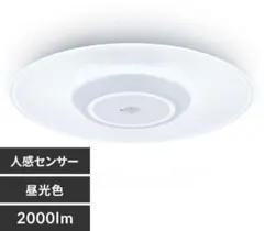 Item thumbnail for item 11583948-b47e-4f5c-b650-6f2cbd50af60