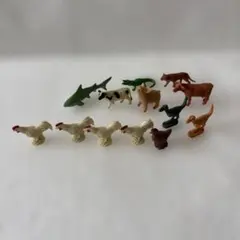 動物消しゴムまとめ売り