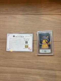 ゆ*こ様 【最安値】ゴッホピカチュウ ARS10 鑑定書付き　with:Dフレー ゆ*こ様 【最安値】ゴッホピカチュウ ARS10 鑑定書付き with:Dフレー