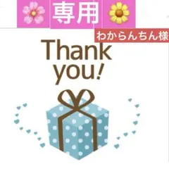 わからんちん様 リクエスト 2点 まとめ商品