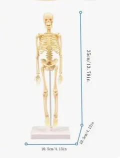 Item thumbnail for item 8b8360ac-e4b1-4e24-85e7-941040128b6c