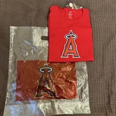 Item thumbnail for item a879740b-8f9f-40df-99a0-68d4f61e1b31