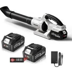 ブロワー充電式箱傷み有り、新品、現状品、早いお取引きお願い致します。 ブロワー充電式箱傷み有り、新品、現状品、早いお取引きお願い致します