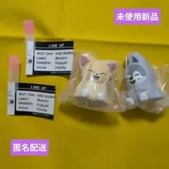 【未使用新品】SKZOOライトマスコットWolf Chan＆Foxi.Ny親子ズ