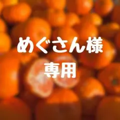 めぐさん様専用。2キロも♪大坊みかん♪2Sサイズ