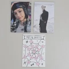 Stray Kids フィリックス PLVE 封入セット