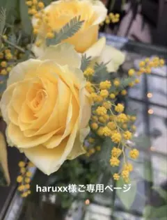 haruxx様ご専用ページ