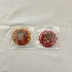 7ORDER ROMAN オンラインガチャ 缶バッジ　萩谷慧悟　2個セット