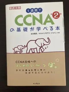 Item thumbnail for item e6dcc4b3-8a9e-452e-b182-b8e24641d6b0