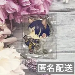 【即購入推奨】あんスタ 中国 童趣アクスタ　忍