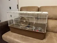 Item thumbnail for item 7443795e-ee1d-49d3-a16e-f9a884823530