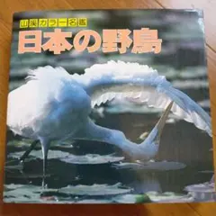 Item thumbnail for item a42743b4-a70d-4785-9f6b-7c8b0f62190a