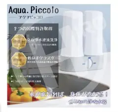 大幅値下げ‼️【新品未使用】スプレー型次亜塩素酸水生成器 ハイクロ