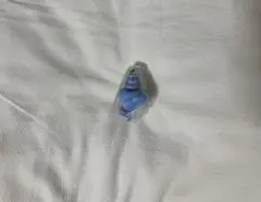 アラジン ジーニー ディズニー ガチャ