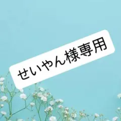 せいやん様専用ページ