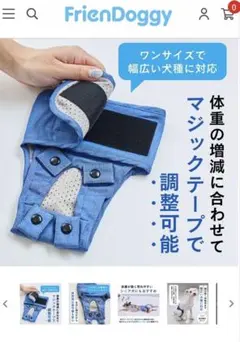 Item thumbnail for item 511bdd72-a4d7-4f53-9f53-7038aaf8ac8f