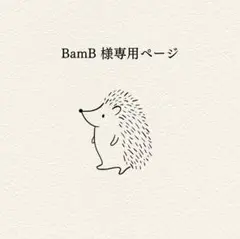 BamB様 リクエスト 3点 まとめ商品