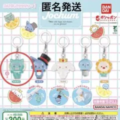 めじるしアクセサリー1 JOCHUM ジェオチャム ヤヌカミ JO1 與那城奨