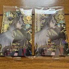 ウマ娘プリティーダービー ツインウエハースカード 第8R ドリームジャーニー