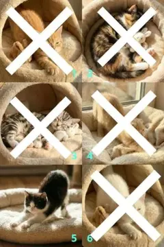 Item thumbnail for item 97fa1b36-cc21-460c-945f-664b05e29251