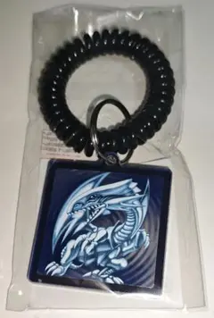 2026年最新】ブルーアイズホワイトドラゴン キーホルダーの人気