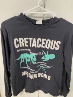 BREEZE ロンＴ 恐竜 150 美品