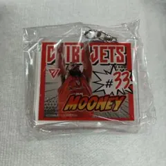 Item thumbnail for item f1ce2988-8751-4c61-832e-3592601ff3e9