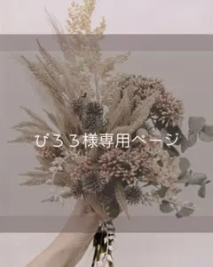 ぴろろ様専用ページ