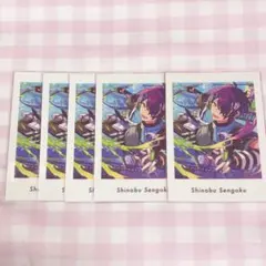 仙石忍 ぱしゃっつ vol.6