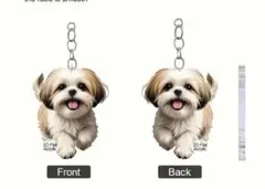 Item thumbnail for item b249c4ce-9721-4451-912a-96f3bed8af1c