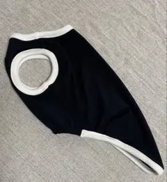 Item thumbnail for item ac328d63-3c75-4bca-8faa-0a9080db57f3