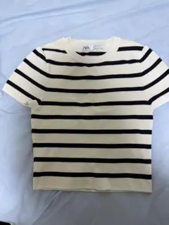 ZARA ストライプ 半袖ニット M