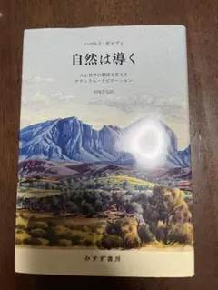 Item thumbnail for item 68f52bc1-aaac-4a55-ac3e-64d8df52dc04