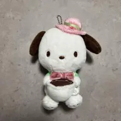 ポチャッコ ボールチェーンマスコット ぬいぐるみ 2022年くじ ハロウィン