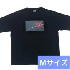 Item thumbnail for item 7d7d9b4e-1131-49ed-802b-9f7d508638a8