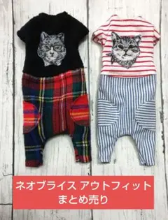 Item thumbnail for item 1178622e-59c1-44a3-ae29-0f410222bd96