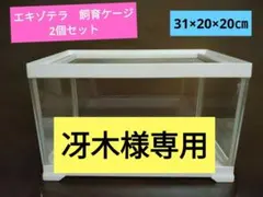 Item thumbnail for item 08e9585d-4051-4d42-a752-1cff384d62f3