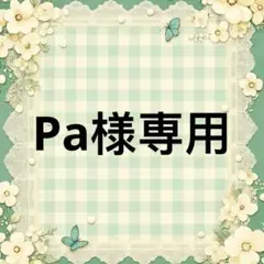 Pa 様　專用