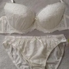 新品 ☆ ES Fairy フェアリー E75 寄せ上げ 谷間 ブラ＆ショーツ