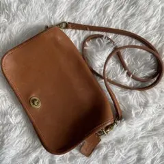 Item thumbnail for item 58364a1d-1a2a-4c09-a799-97f585b348d5