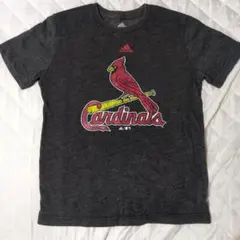 adidas MLB セントルイス カージナルス Tシャツ Sサイズ
