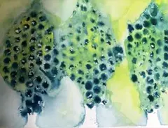 水彩画 木のモチーフ 2点セット