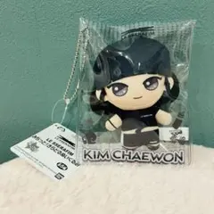 2026年最新】キムチェウォン ぬいぐるみの人気アイテム - メルカリ