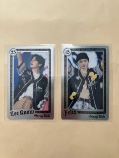 スキズ Stray Kids ランダムライブフォトカード