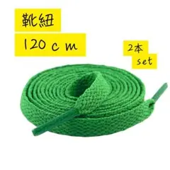 靴紐2本 スニーカー グリーン シューレース 平紐 靴ひも 120cm