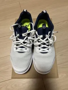 Item thumbnail for item 439fbfc7-13bb-412b-8869-dcec98ac7f6f