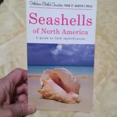 Item thumbnail for item 484f9de2-ebda-41ea-b20a-13db1b9f529d